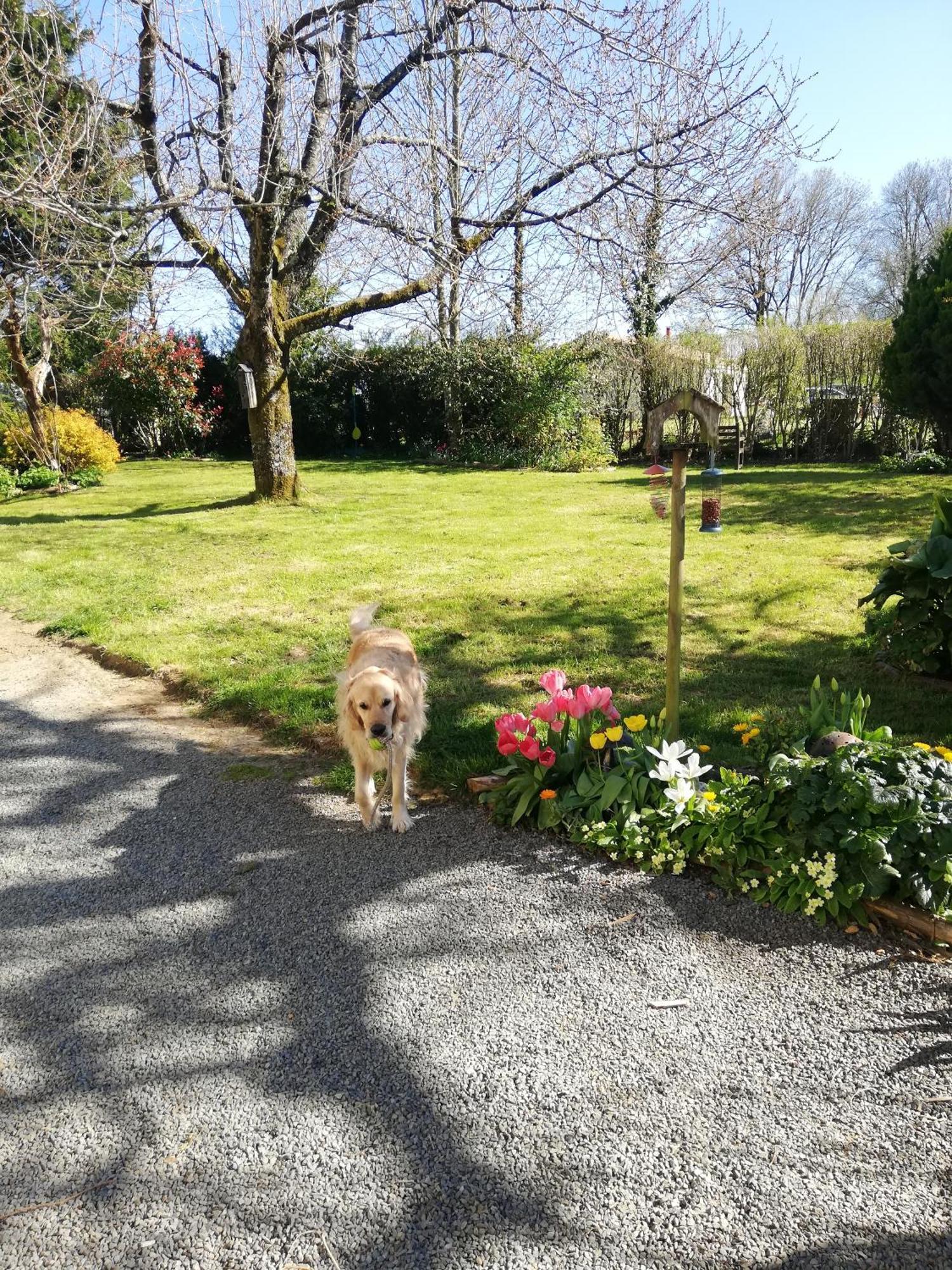 Papillons B&B - Beauty, Comfort And Peace 25 Mins From Puy Du Fou Montournais Extérieur photo