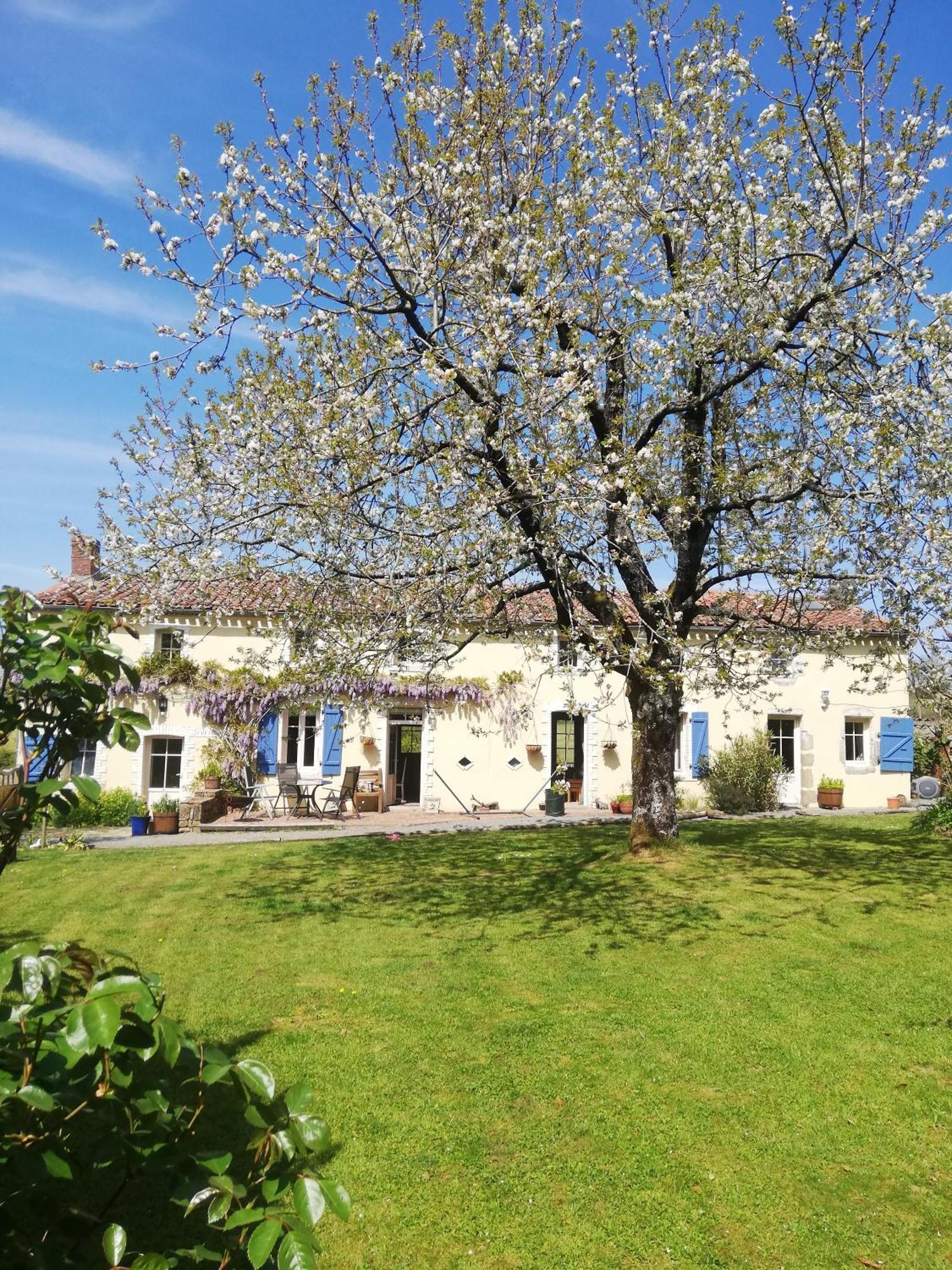 Papillons B&B - Beauty, Comfort And Peace 25 Mins From Puy Du Fou Montournais Extérieur photo